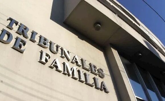 Los tribunales de familia separan familias: ¿protección o castigo para la niñez minoritaria en Chile?