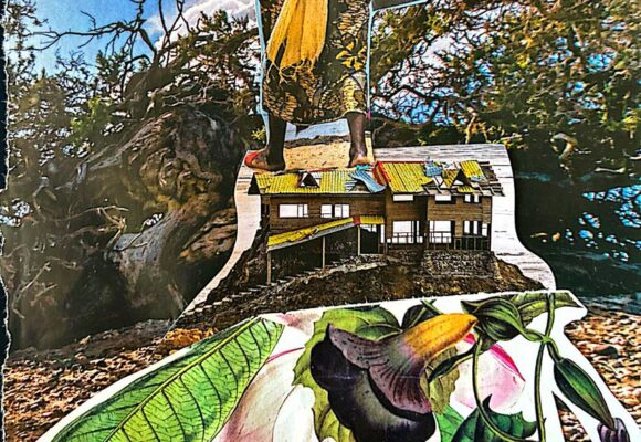 Existimos en movimiento, nuestra insistencia es por la vida